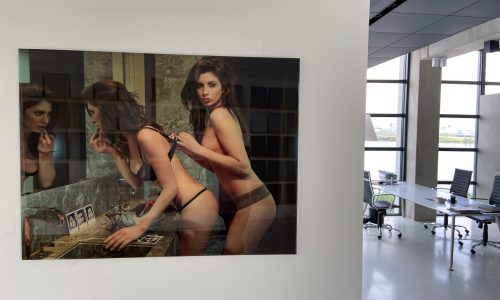 Limited edition: Fantasie, verlangen en schoonheid. High end foto van de kunst collectie van Marc Langrange, ingegoten in de high gloss epoxy.